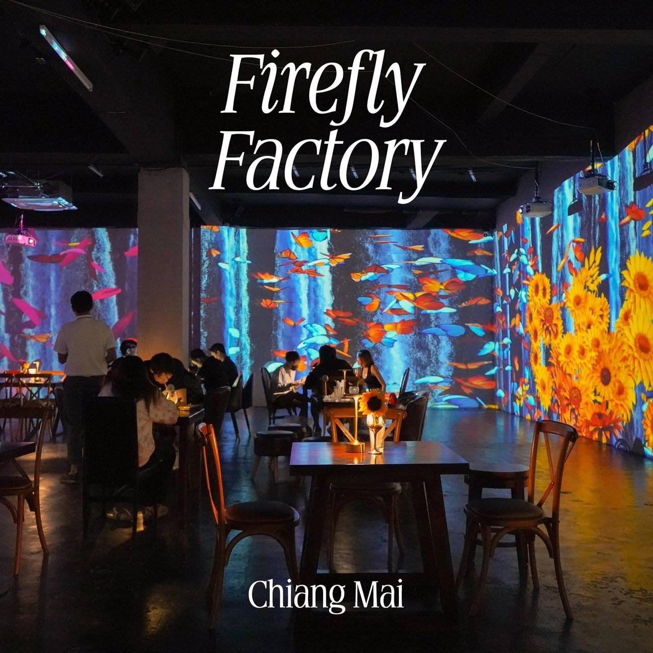 Firefly Factory