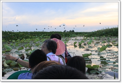 แห่ผ้าขึ้นธาตุเมืองคอน