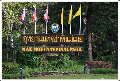 โครงการ 